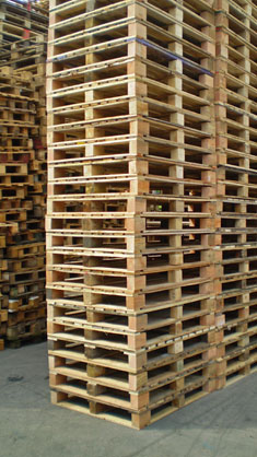 Reconditioned Pallets